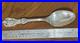 Francis I by Reed and Barton Sterling Silver Spoon 89 g