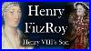 Henry Fitzroy Henry VIII S Son