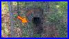 Man Finds Hidden Doorway On His Property Goes In And Realizes He S Made A Huge Mistake