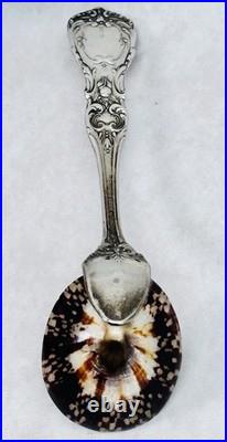 Reed Barton Francis I Sterling Silver Salt Spoon Genuine Limpet Shell Bowl 32.8g
