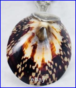 Reed Barton Francis I Sterling Silver Salt Spoon Genuine Limpet Shell Bowl 32.8g