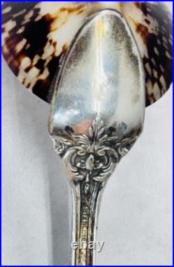 Reed Barton Francis I Sterling Silver Salt Spoon Genuine Limpet Shell Bowl 32.8g