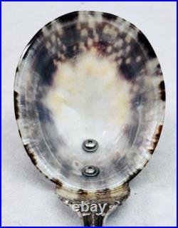 Reed Barton Francis I Sterling Silver Salt Spoon Genuine Limpet Shell Bowl 32.8g