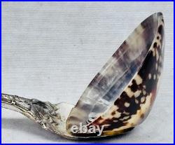 Reed Barton Francis I Sterling Silver Salt Spoon Genuine Limpet Shell Bowl 32.8g