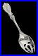 Reed & Barton Francis I Sterling Silver Sealed New 8 1/4 Pierced Tablespoon