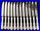 Reed & Barton Francis Sterling Silver 12 Piece Dinner Knife Set 9 1/4